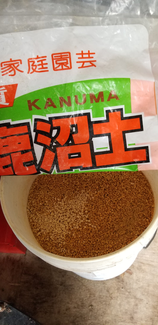 Kanuma
