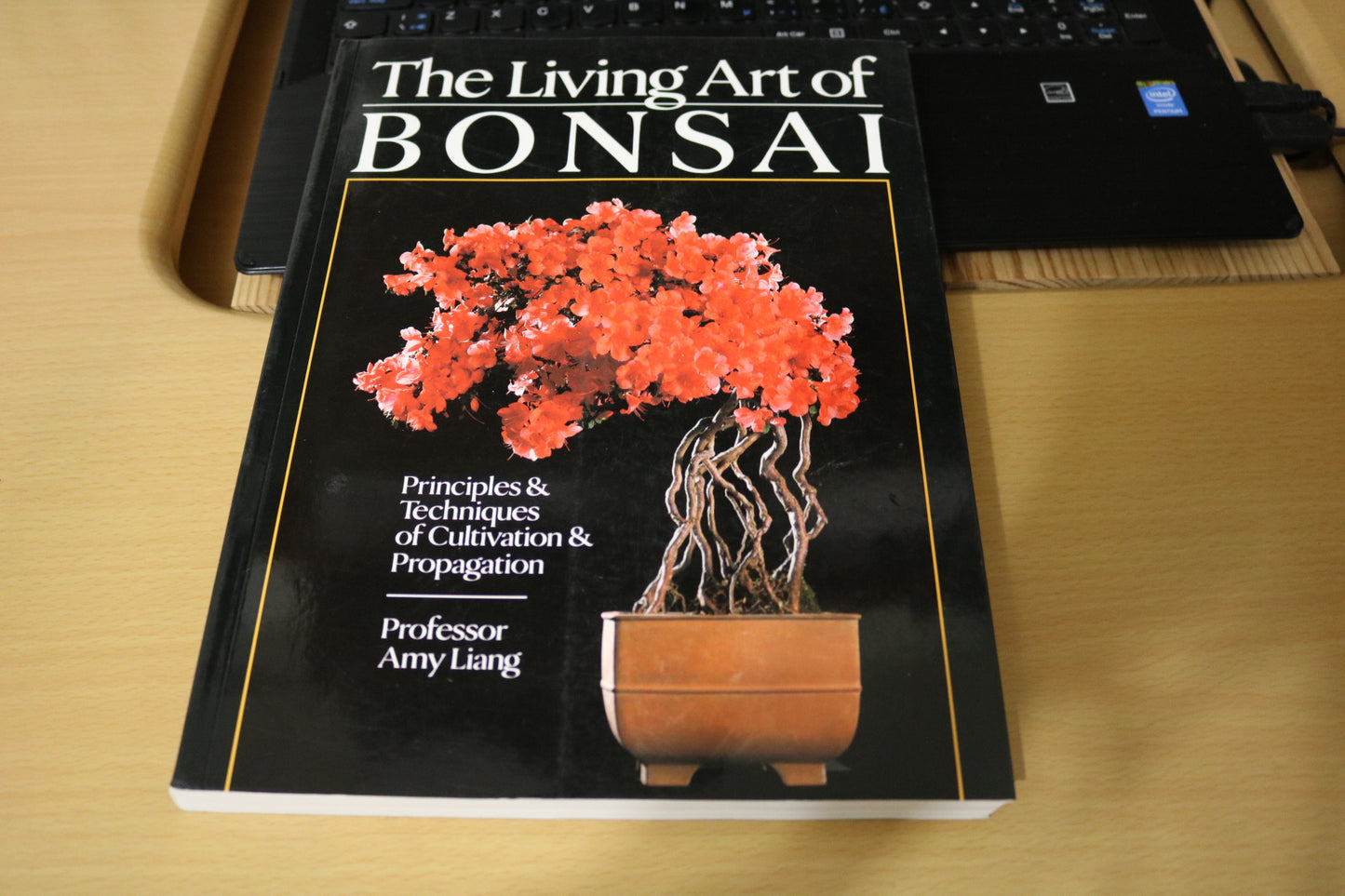 The Living Art of Bonsai by Amy Liang